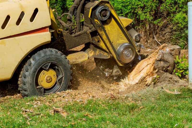 Tree Stump Grinding