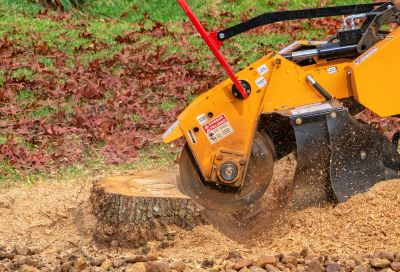 Bush Stump Grinding in Prince Georges County, MD
