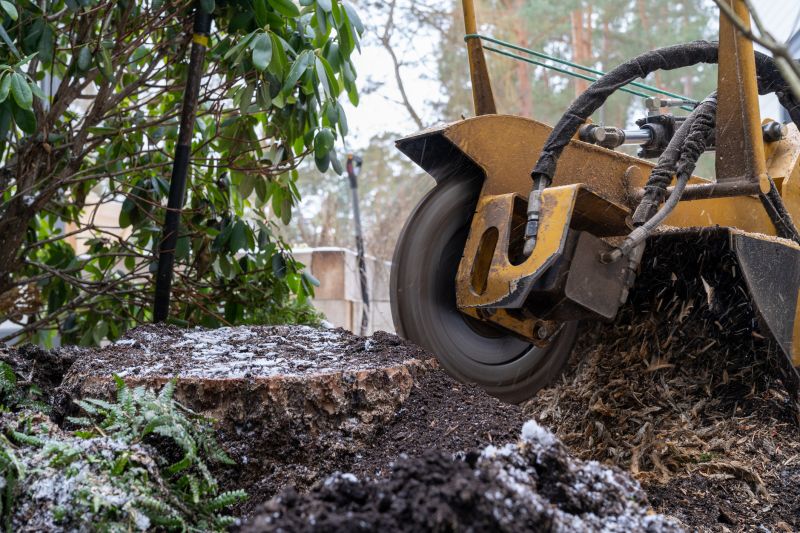 Commercial Stump Grinding in Prince Georges County, MD