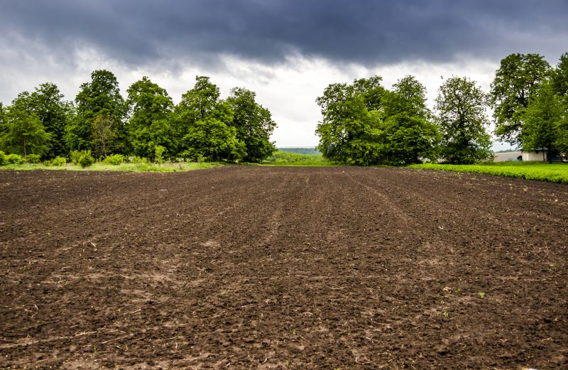 Property Line Clearing in Atlanta, GA
