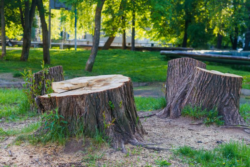 Stump Cutting in Prince Georges County, MD