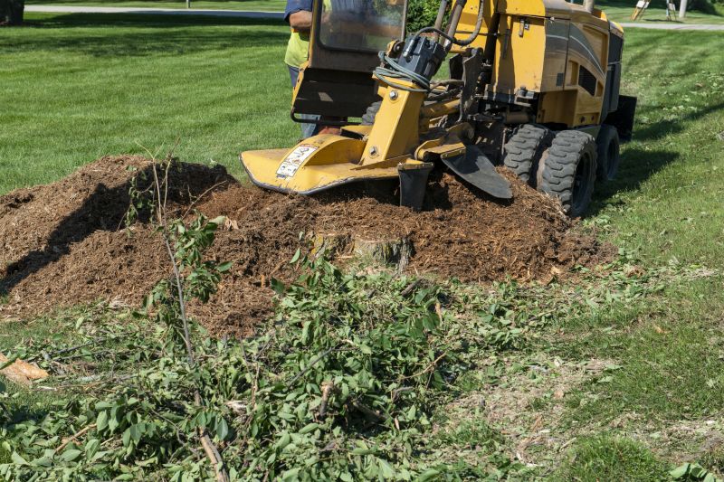 Tree Stump Grinding