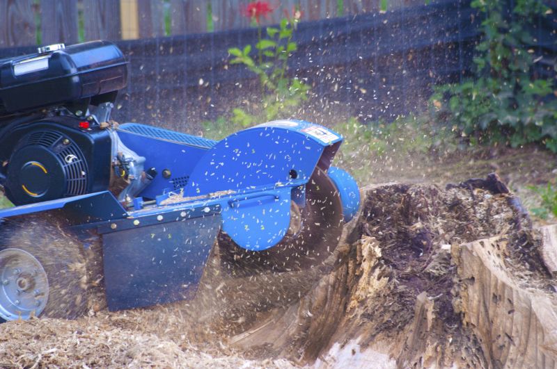 Local Tree Stump Grinding pros at work